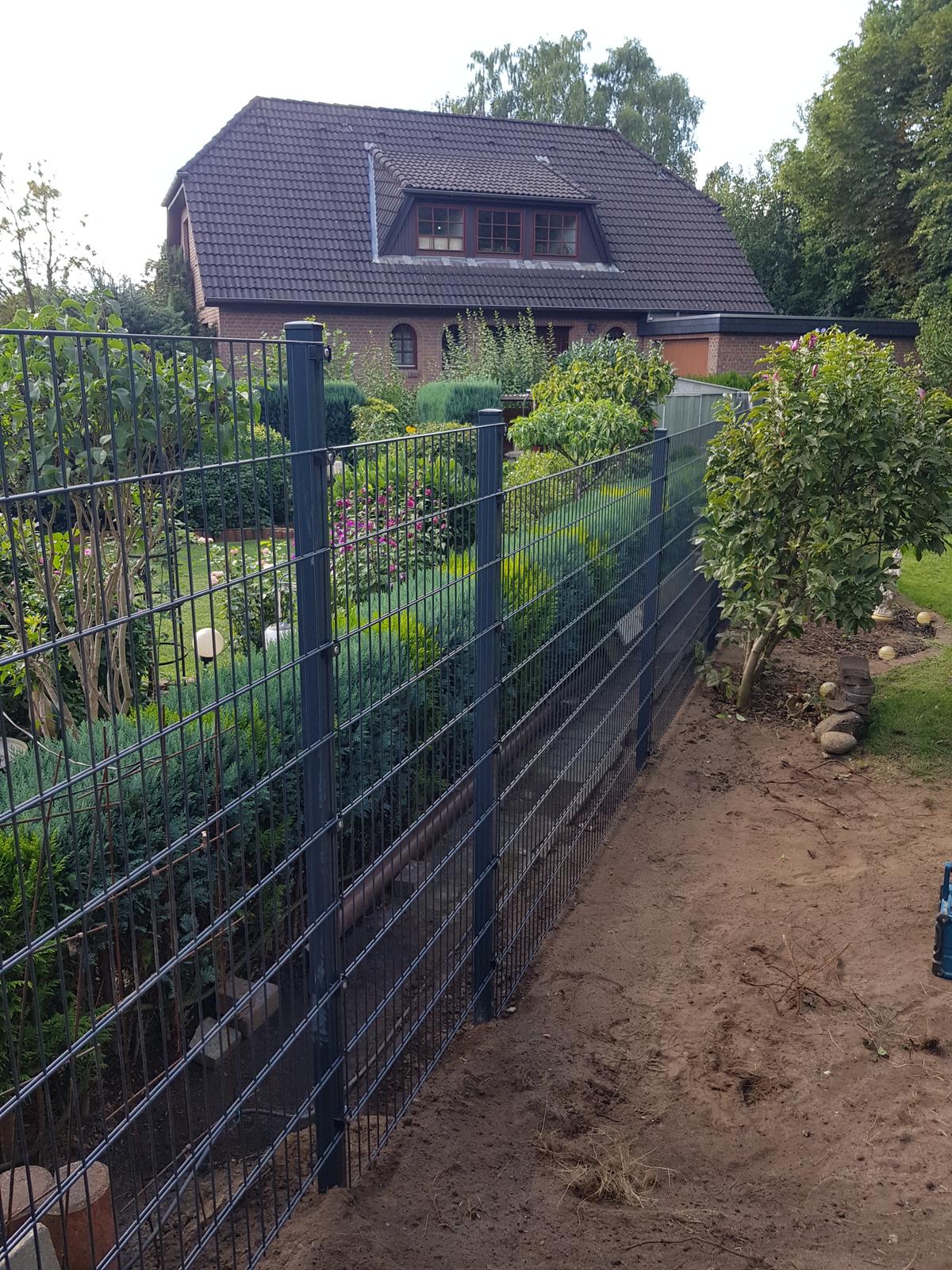 Projekt 24